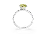 White gold Fancy Yellow Round Cut Diamond Brilliant Solitaire Ring with Pavé Band and Four-Prong Setting_15