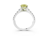 White gold Fancy Yellow Round Cut Diamond Cathedral Solitaire Ring with Round  Pavé Band_92