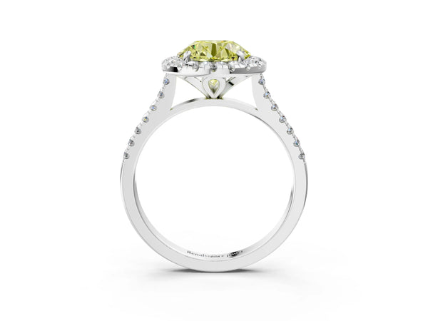 Platinum Fancy Yellow Round Cut Diamond Cushion Halo Ring with Pavé Band