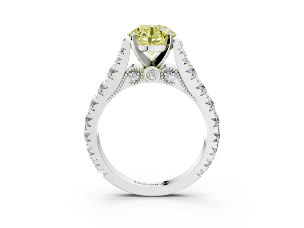 White gold Fancy Yellow Round Cut Diamond Classic Solitaire Ring with Pavé Band and Four-Prong Setting