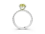 White gold Fancy Yellow Round  Cut Diamond Pavé Band with Four-Prong Setting_15