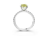 White gold Fancy Yellow Round  Cut Diamond Pavé Band with Four-Prong Setting_23