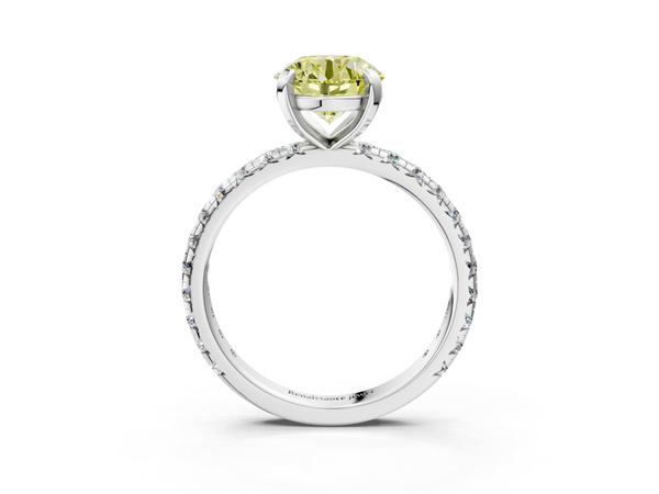 Platinum Fancy Yellow Round  Cut Diamond Pavé Band with Four-Prong Setting