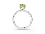 White gold Fancy Yellow Round  Cut Diamond Pavé Band with Four-Prong Setting_3