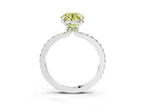 White gold Fancy Yellow Round Cut Diamond Pavé Engagement Ring with Round  Accents and Prong Setting_56