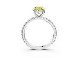 White gold Fancy Yellow Round Cut Diamond Pavé Solitaire Ring with Round Band and Prong Setting_19
