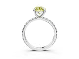 White gold Fancy Yellow Round Cut Diamond Pavé Solitaire Ring with Round Band and Prong Setting_43