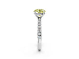 White gold Fancy Yellow Round Cut Diamond Pave Band Solitaire Ring with Round  and Prong Setting_91