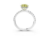 White gold Fancy Yellow Round Cut Diamond Pave Band Solitaire Ring with Round  and Prong Setting_92
