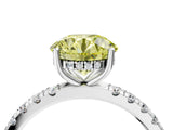 White gold Fancy Yellow Round Cut Diamond Pave Band Solitaire Ring with Round  and Prong Setting_93