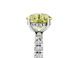 White gold Fancy Yellow Round Cut Diamond Pave Band Solitaire Ring with Round  and Prong Setting_94
