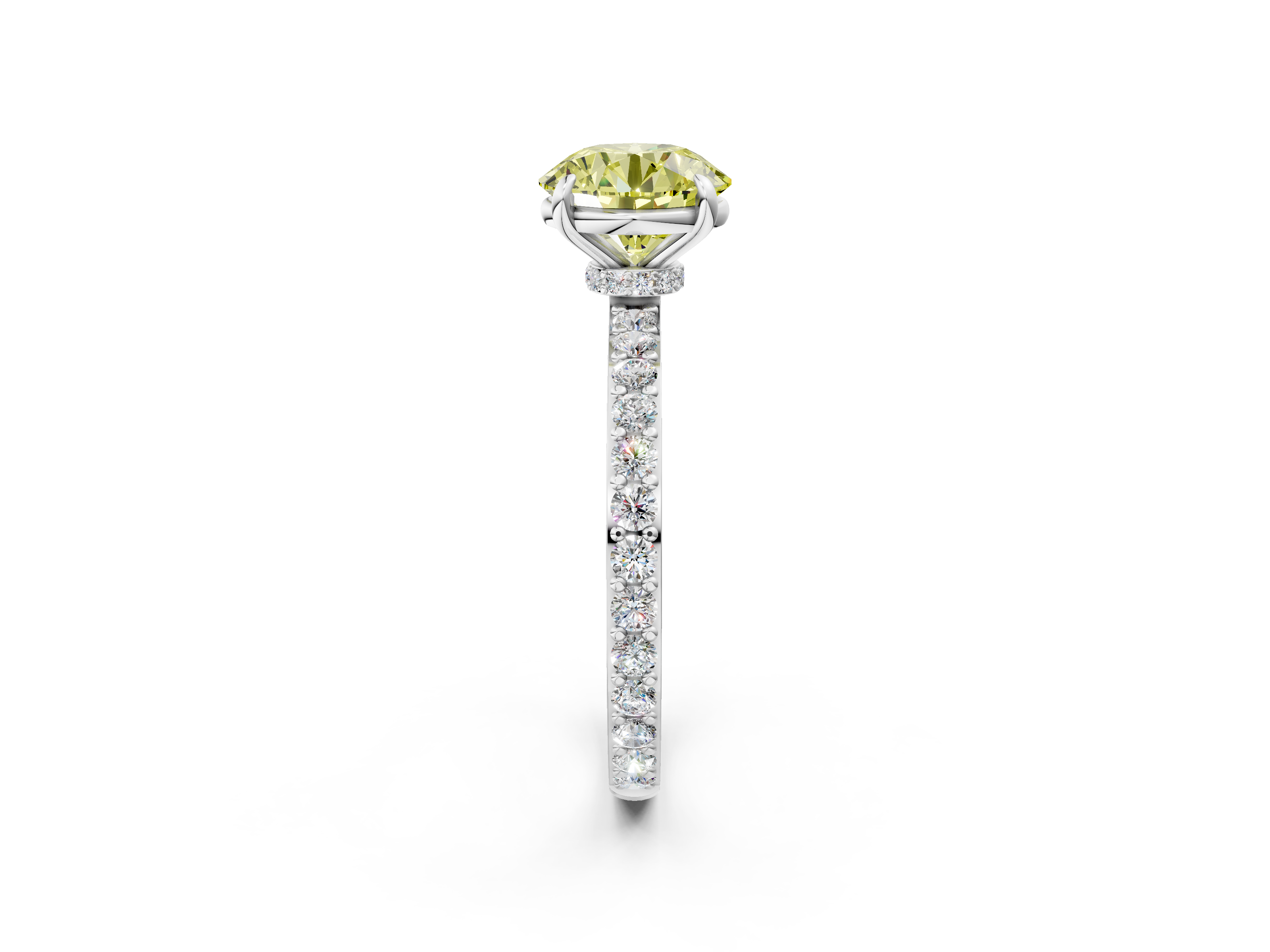 White gold Fancy Yellow Round  Cut Diamond Ring with Pavé Band and Four-Prong Setting_2