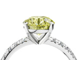 White gold Fancy Yellow Round Cut Diamond Solitaire Pavé Engagement Ring with Round Band and Prong Setting_70