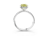 White gold Fancy Yellow Round Cut Diamond Solitaire Ring with Four-Prong Setting and Pavé Band_18