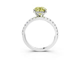 White gold Fancy Yellow Round Cut Diamond Solitaire Ring with Pavé Band and Four-Prong Setting_33