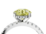 White gold Fancy Yellow Round Cut Diamond Solitaire Ring with Pavé Band and Four-Prong Setting_34