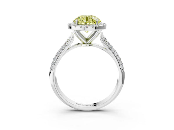 White gold Fancy Yellow Round Cut Halo Diamond Ring with Pavé Band