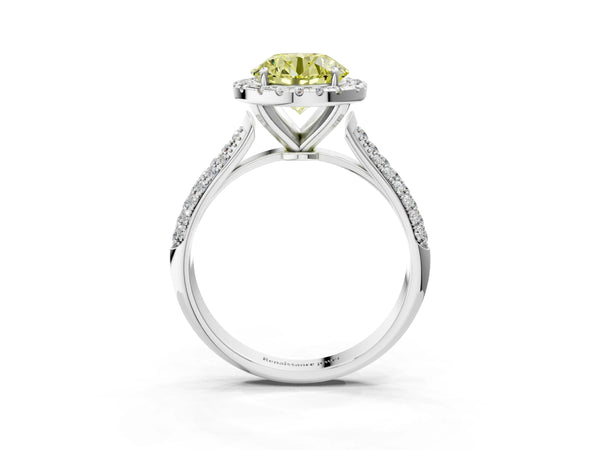 White gold Fancy Yellow Round Cut Halo Diamond Ring with Pavé Band
