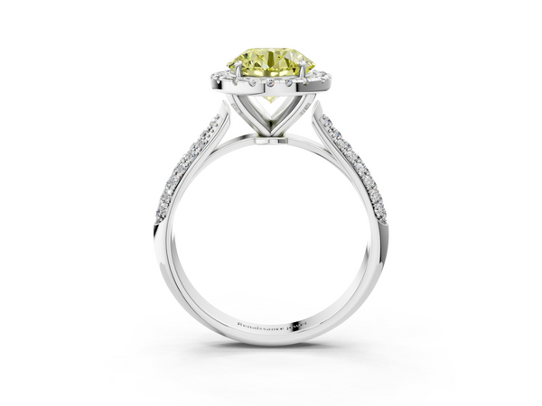 Platinum Fancy Yellow Round  Cut Halo Pave Band Four-Prong Setting Ring