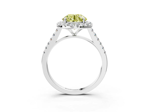 White gold Fancy Yellow Round Cut Halo Pave Diamond Engagement Ring with Four-Prong Setting