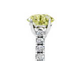White gold Fancy Yellow Round  Cut Pavé Band Solitaire Ring with Four-Prong Setting_44