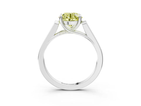 White gold Fancy Yellow Round Cut Solitaire Cathedral Diamond Engagement Ring with Channel-Set Band and Four-Prong Setting_18