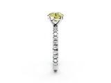 White gold Fancy Yellow Round  Diamond Pavé Band Solitaire with Four-Prong Setting_2