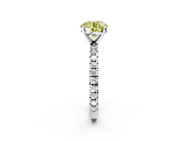 White gold Fancy Yellow Round  Diamond Pavé Band Solitaire with Four-Prong Setting