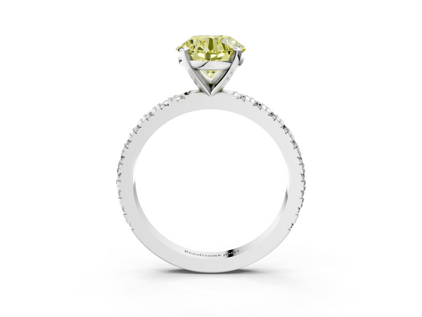 White gold Fancy Yellow Round  Diamond Pavé Band Solitaire with Four-Prong Setting
