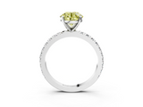 White gold Fancy Yellow Round  Diamond Pavé Band Solitaire with Four-Prong Setting_3