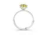 White gold Fancy Yellow Round  Diamond Pavé Band with Six-Prong Setting_30
