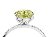 White gold Fancy Yellow Round  Diamond Pavé Band with Six-Prong Setting_31
