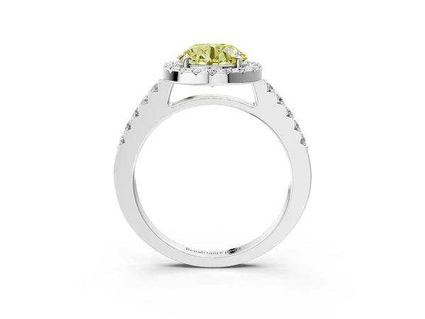 White gold Fancy Yellow Round  Halo Diamond Pavé Solitaire Ring