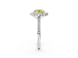 White gold Fancy Yellow Round  Halo Diamond Ring with Pavé Band and Prong Setting_18
