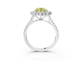 White gold Fancy Yellow Round  Halo Diamond Ring with Pavé Band and Prong Setting_19