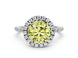 White gold Fancy Yellow Round  Halo Round Diamond Pavé Band Four-Prong Ring_3
