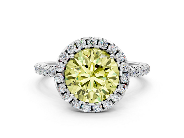 White gold Fancy Yellow Round  Halo Round Diamond Pavé Band Four-Prong Ring