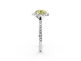 White gold Fancy Yellow Round  Halo Round Diamond Pavé Band Four-Prong Ring_5