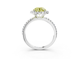 White gold Fancy Yellow Round  Halo Round Diamond Pavé Band Four-Prong Ring_6