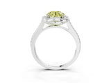 White gold Fancy Yellow Round  Halo Round Diamond Pave Band with Four-Prong Setting_53