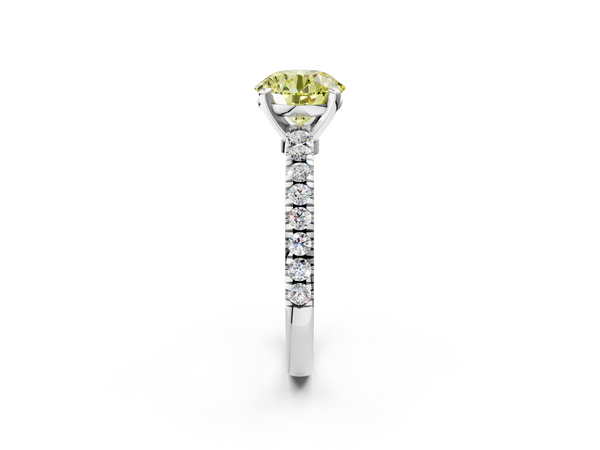 White gold Fancy Yellow Round  Solitaire Diamond with Pavé Band and Four-Prong Setting