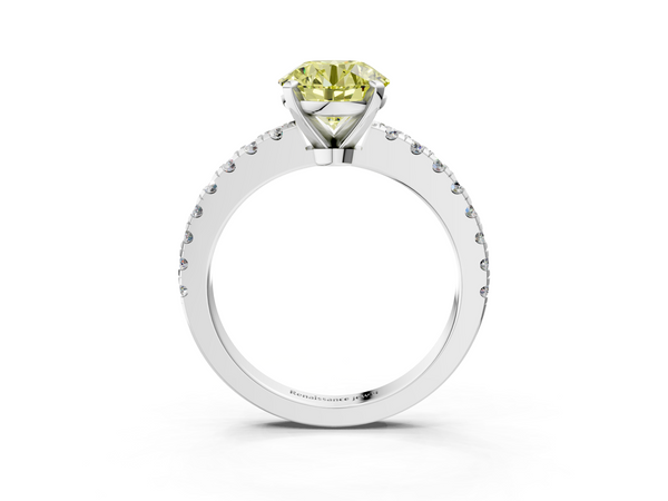 White gold Fancy Yellow Round  Solitaire Diamond with Pavé Band and Four-Prong Setting