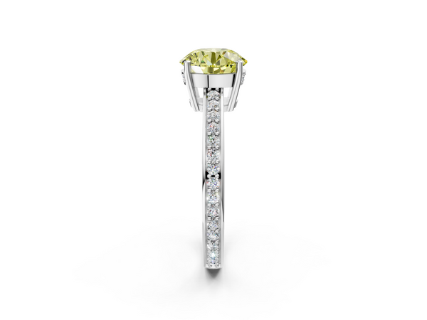 White gold Fancy Yellow Round  Solitaire Pavé Band Prong Setting Ring