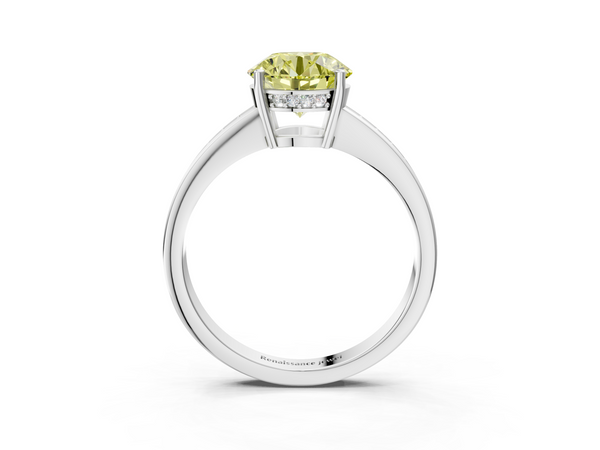White gold Fancy Yellow Round  Solitaire Pavé Band Prong Setting Ring
