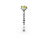White gold Fancy Yellow Round  Solitaire Pavé Band with Four-Prong Setting_2