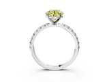 White gold Fancy Yellow Round  Solitaire Pavé Band with Four-Prong Setting_3
