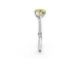 White gold Fancy Yellow Round  Solitaire Pavé Band with Four-Prong Setting_35
