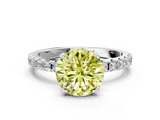 White gold Fancy Yellow Round  Solitaire Pavé Band with Four-Prong Setting