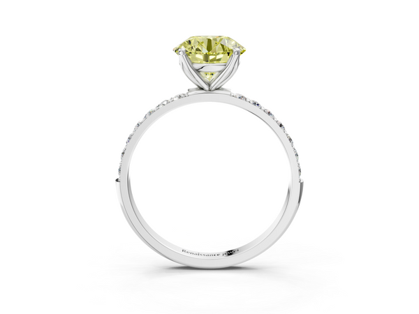 White gold Fancy Yellow Round Cut Diamond Solitaire Engagement Ring with Round  Pavé Band and Prong Setting