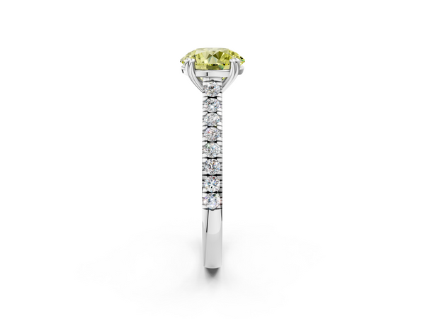 White gold Fancy Yellow Round  Solitaire Pave Diamond Engagement Ring with Prong Setting
